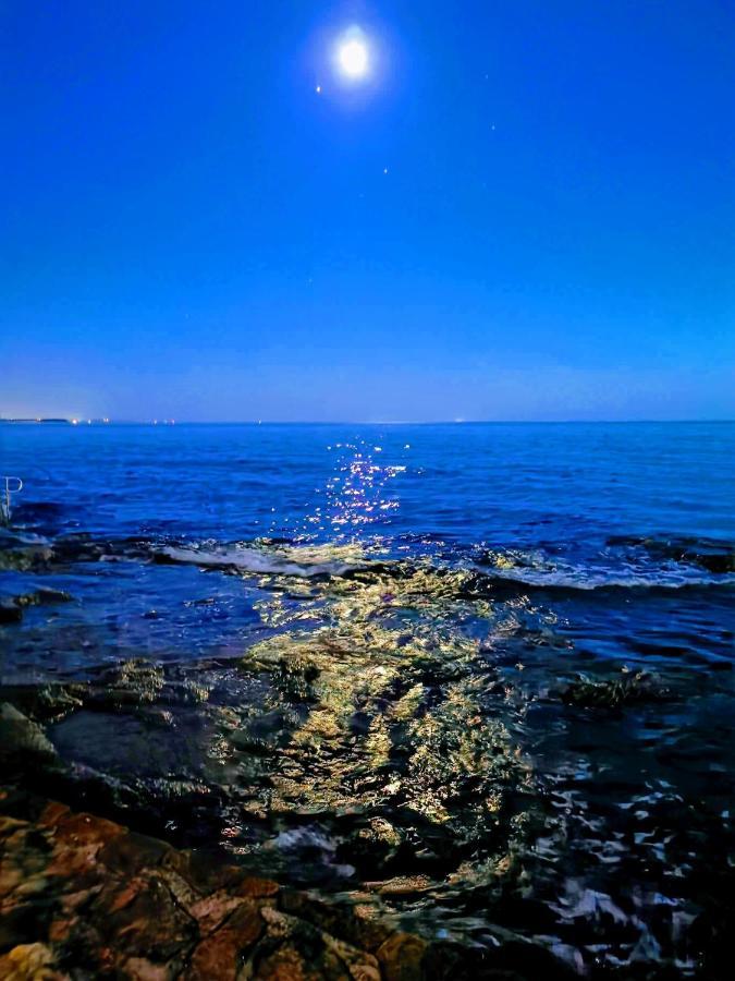 Aria Deluxe Superior 5 Star Apartment, Your Piece Of Heaven By The Sea & Park, With Sea & Park View Novigrad  Luaran gambar